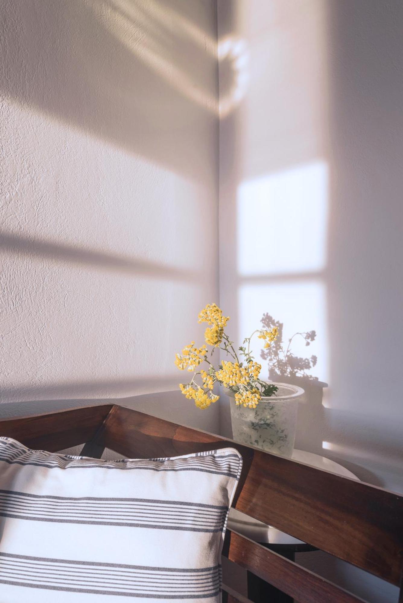 Romano Garden House - Land Tales Agios Romanos ภายนอก รูปภาพ