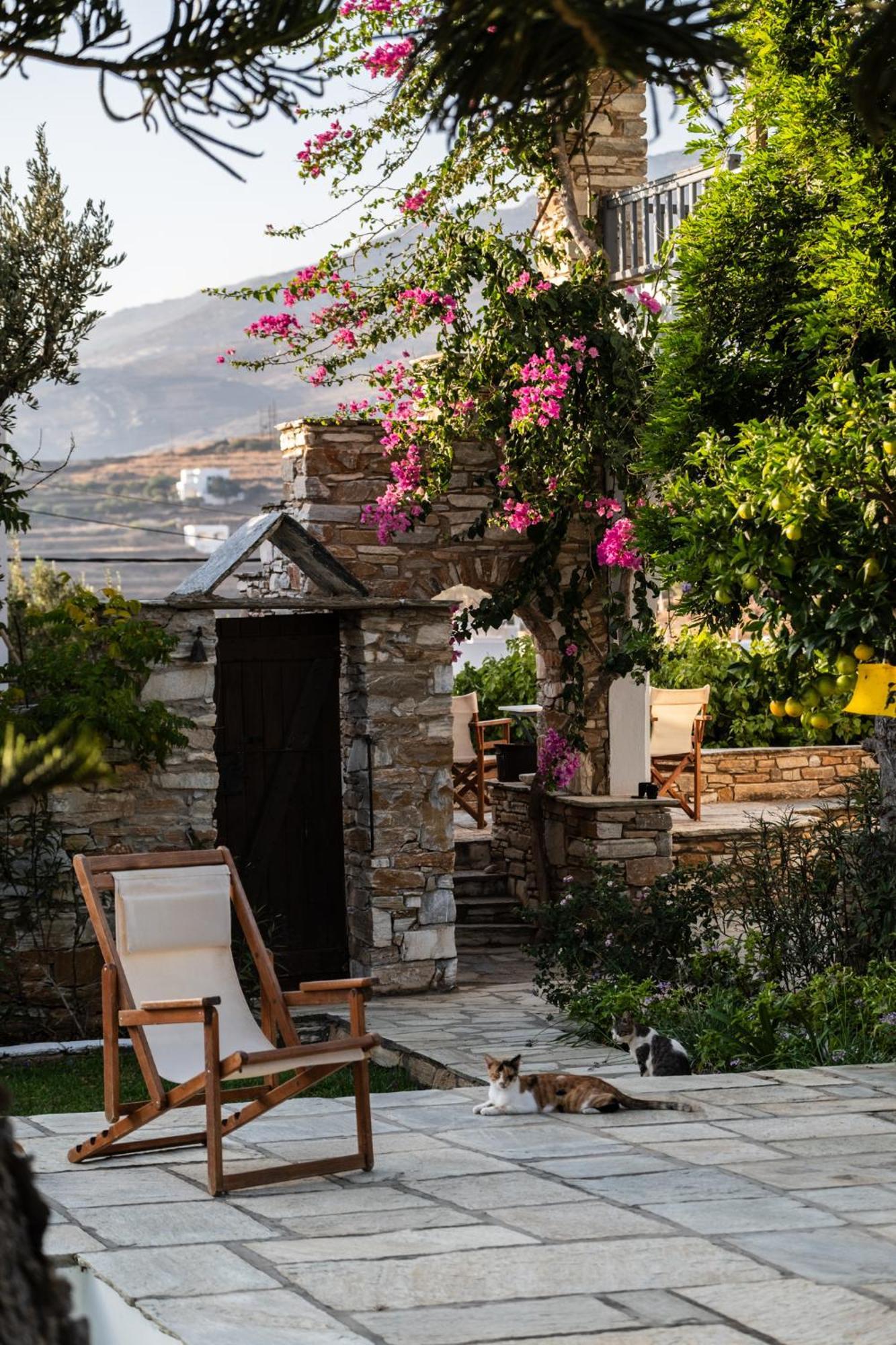 Romano Garden House - Land Tales Agios Romanos ภายนอก รูปภาพ