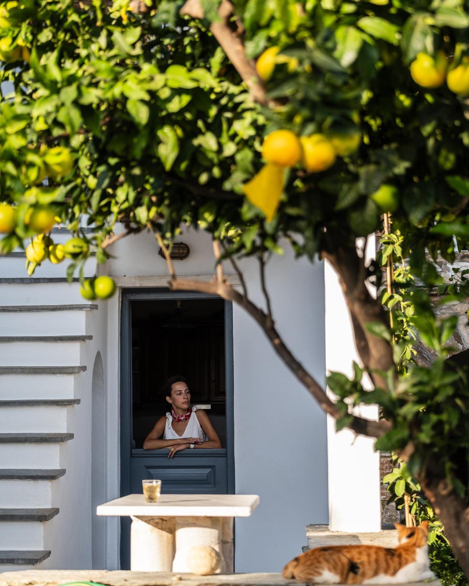 Romano Garden House - Land Tales Agios Romanos ภายนอก รูปภาพ