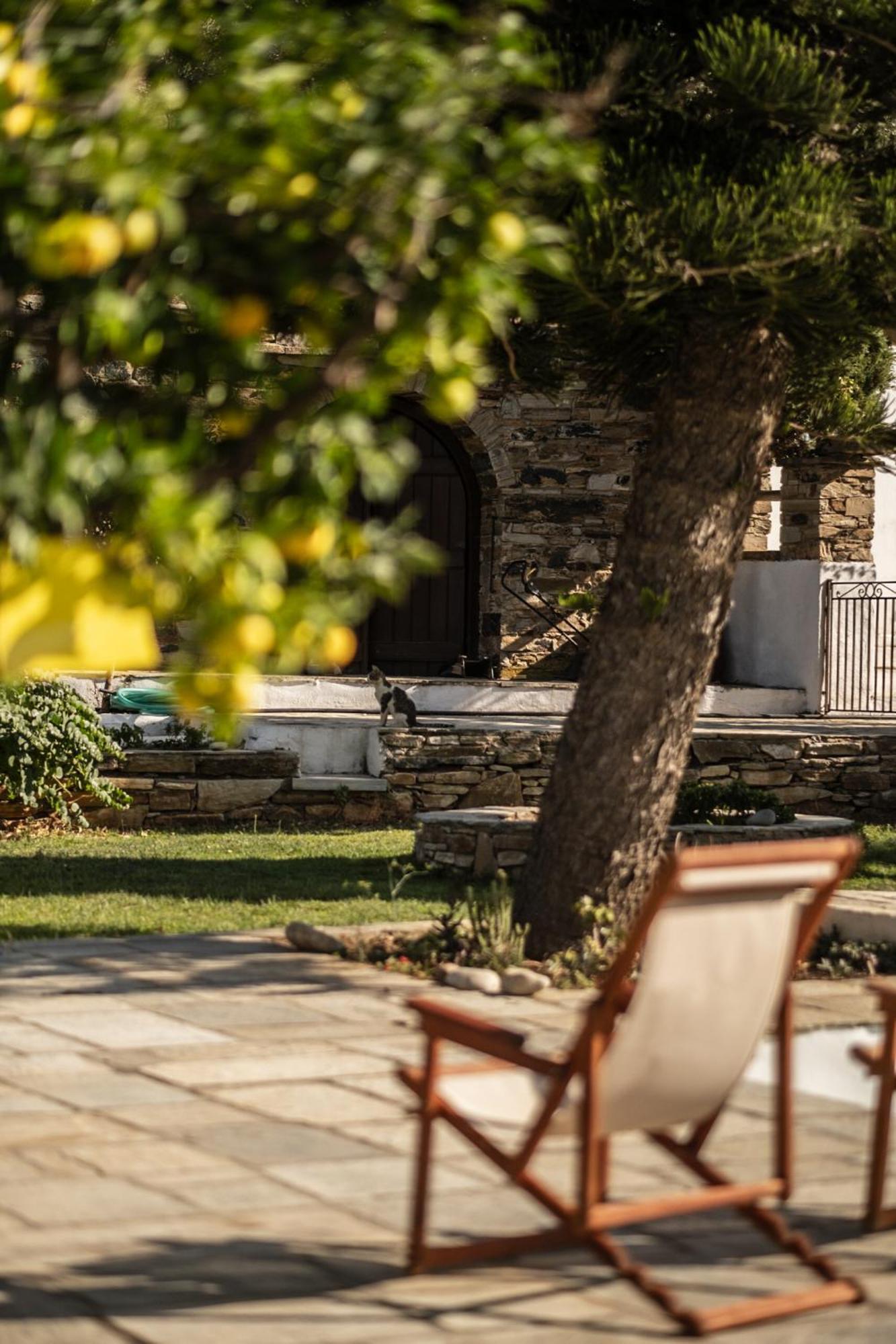 Romano Garden House - Land Tales Agios Romanos ภายนอก รูปภาพ