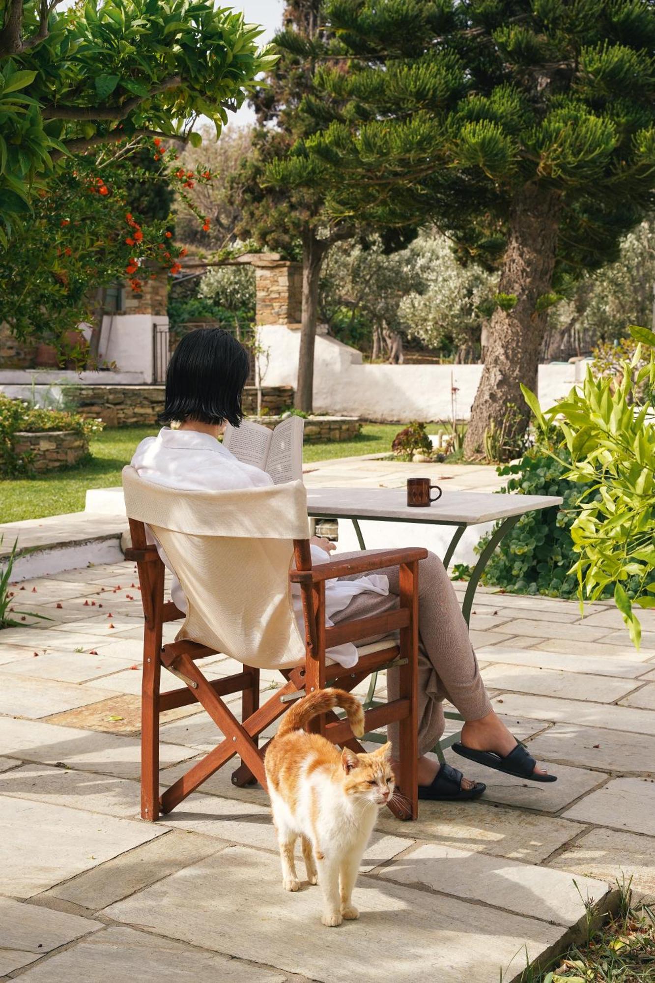 Romano Garden House - Land Tales Agios Romanos ภายนอก รูปภาพ
